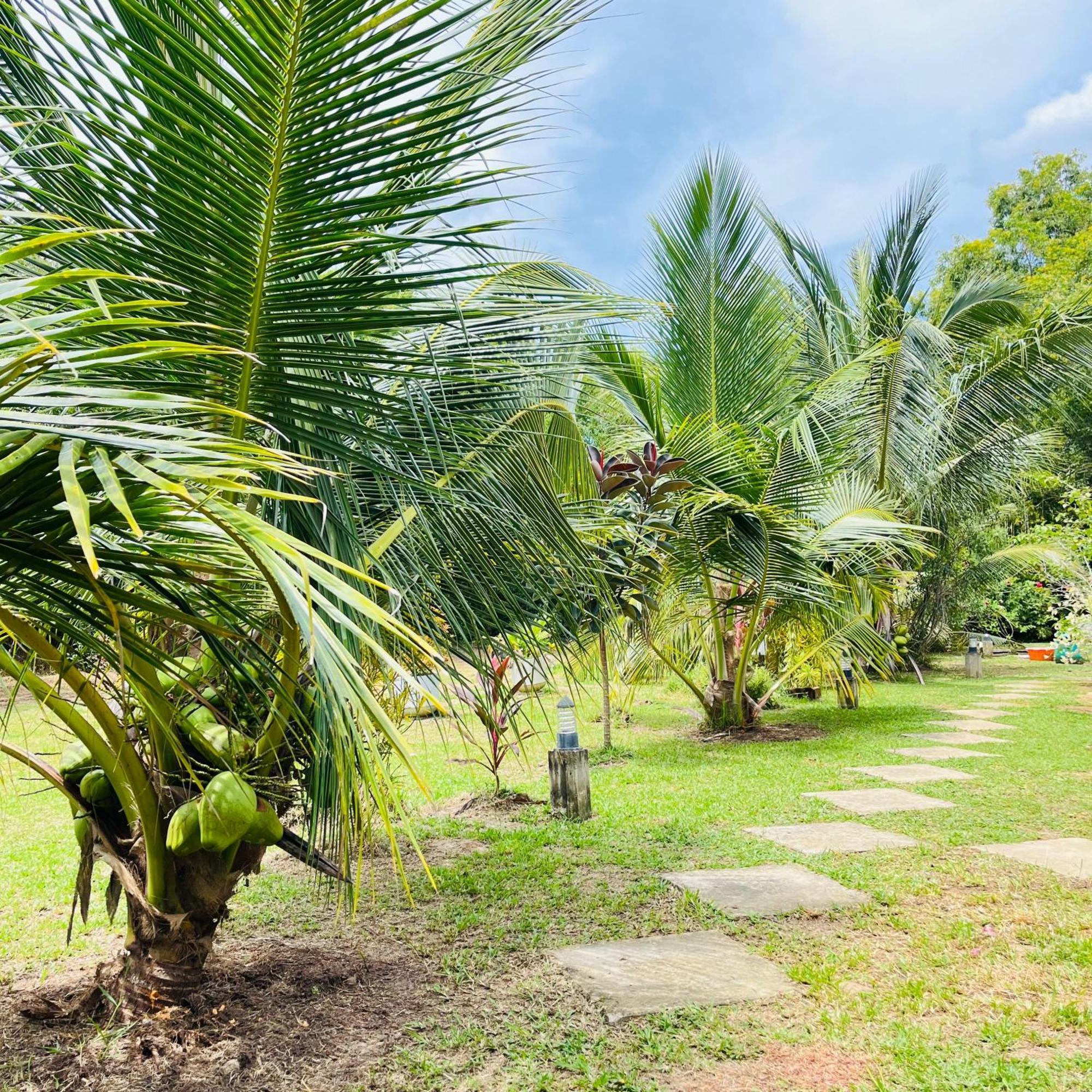 Hanguk Lanka Lagoon Villa Tangalle Ngoại thất bức ảnh