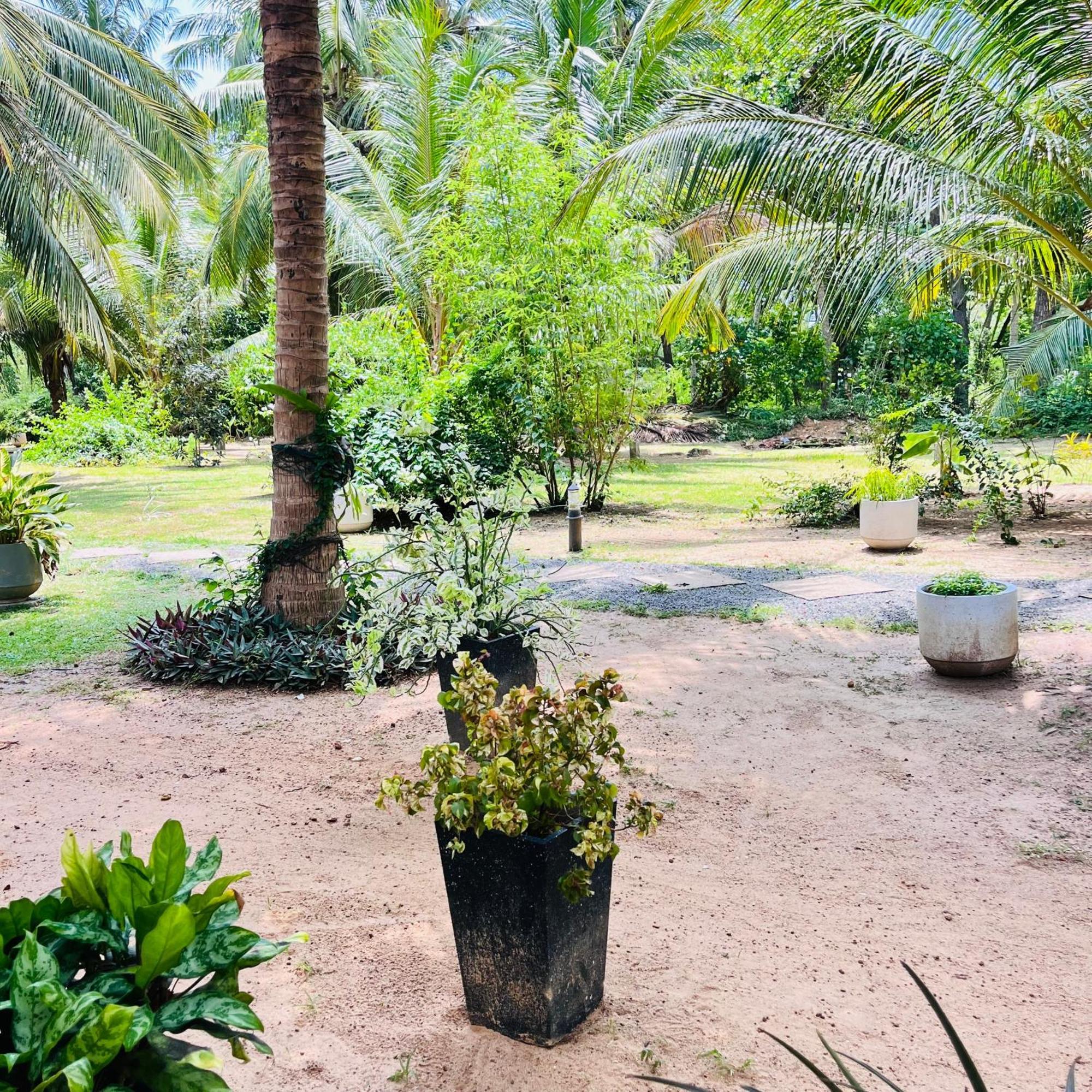 Hanguk Lanka Lagoon Villa Tangalle Ngoại thất bức ảnh