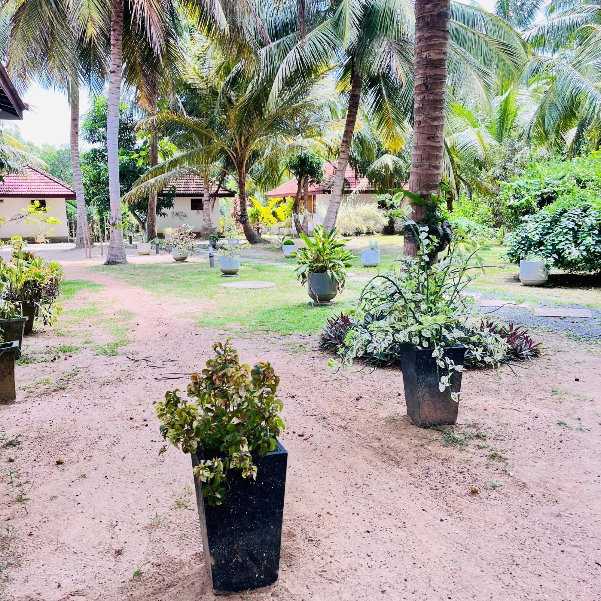 Hanguk Lanka Lagoon Villa Tangalle Ngoại thất bức ảnh