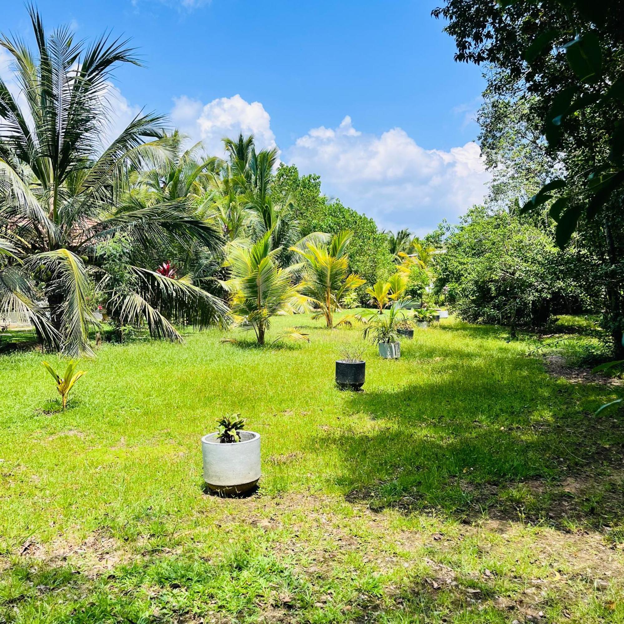 Hanguk Lanka Lagoon Villa Tangalle Ngoại thất bức ảnh