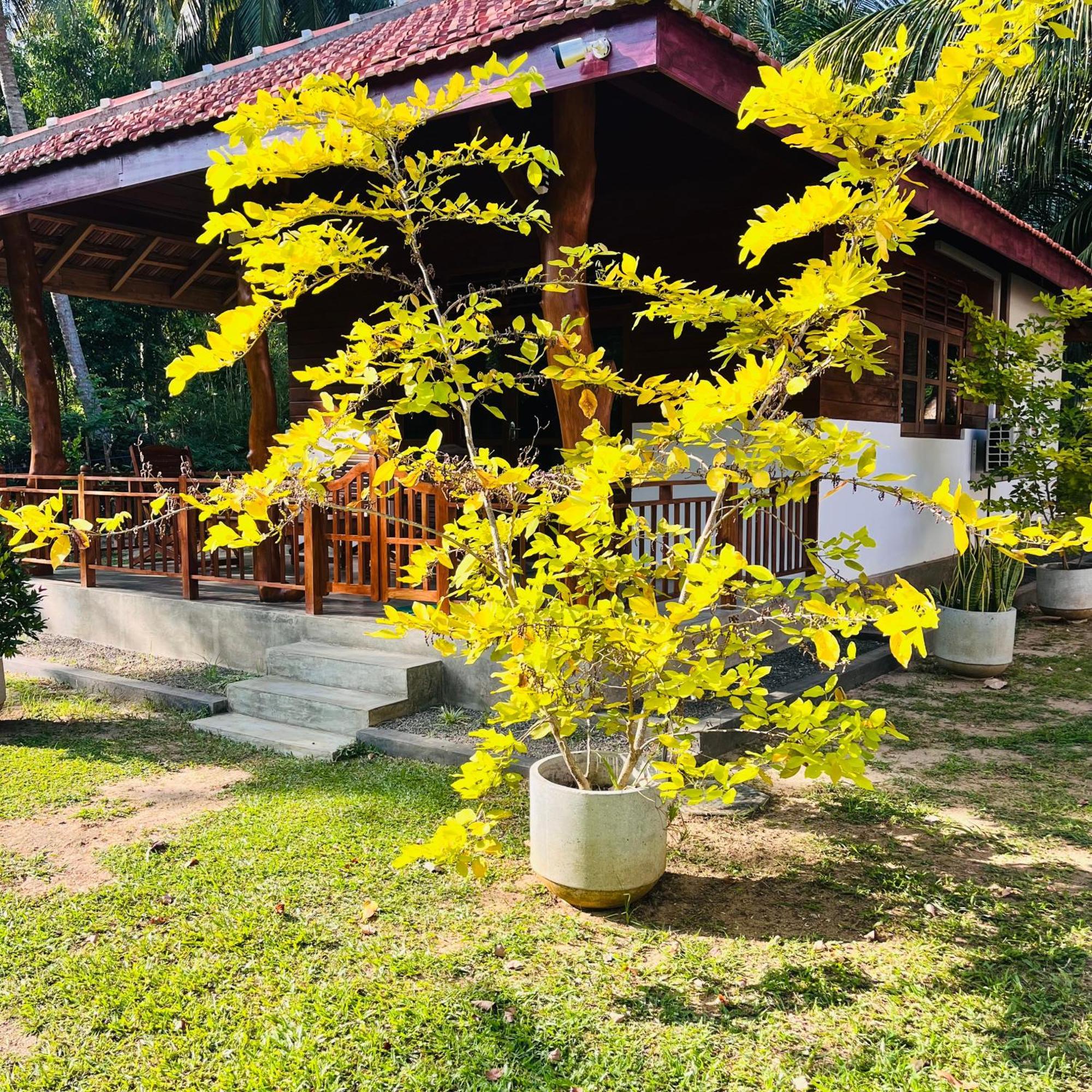 Hanguk Lanka Lagoon Villa Tangalle Ngoại thất bức ảnh